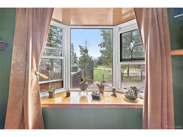 305 S Fairview, Woodland Park, CO 80863