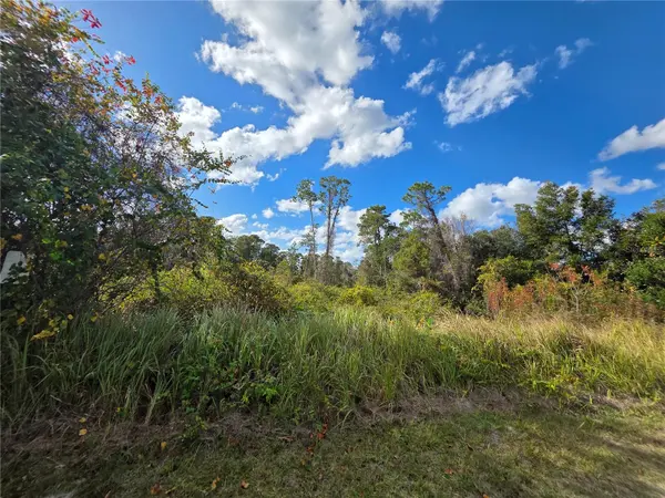 520 W KINGWAY DR, Deltona, FL 32725