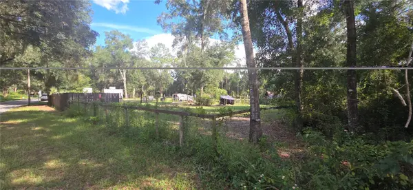 407 RAULERSON RD, Seville, FL 32190