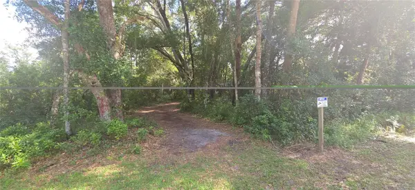 407 RAULERSON RD, Seville, FL 32190