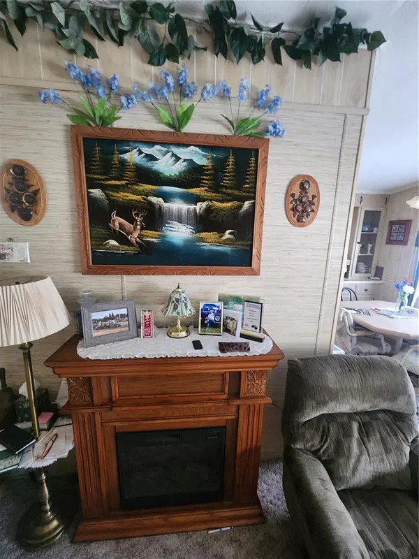 569 CR 486, Lake Panasoffkee, FL 33538