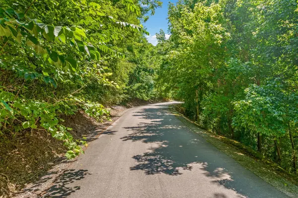 0 Shoreside Dr, Smithville, TN 37166