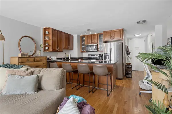 21 W GOETHE ST #8H, Chicago, IL 60610