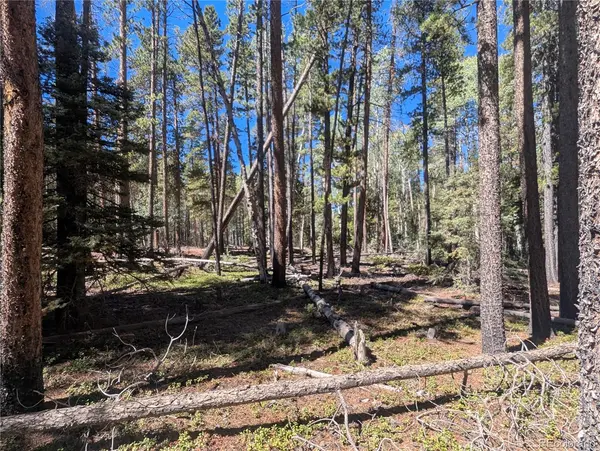 2895 Henderson DR, Fort Garland, CO 81133