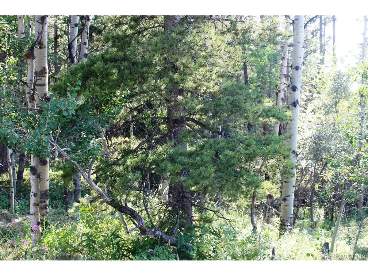 28 Sunflower, Black Hawk, CO 80422