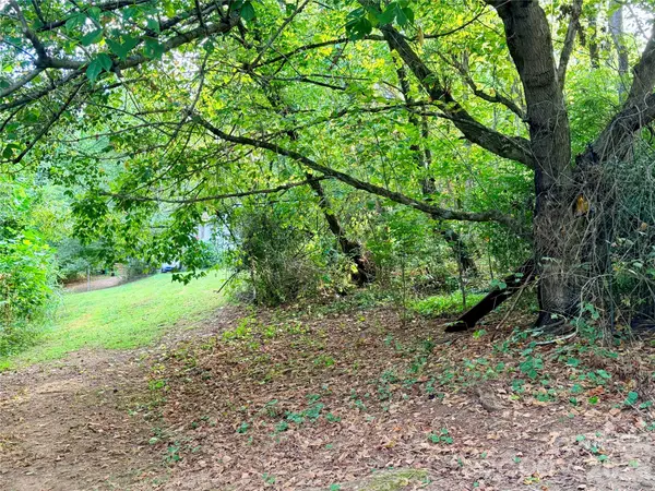 173 & 175 Dix Creek Chapel RD, Asheville, NC 28806