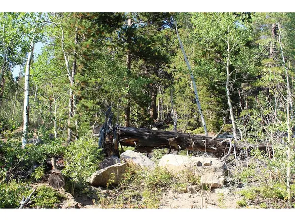 28 Sunflower, Black Hawk, CO 80422