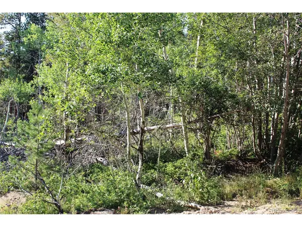 28 Sunflower, Black Hawk, CO 80422