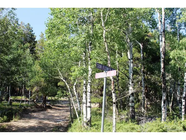 28 Sunflower, Black Hawk, CO 80422