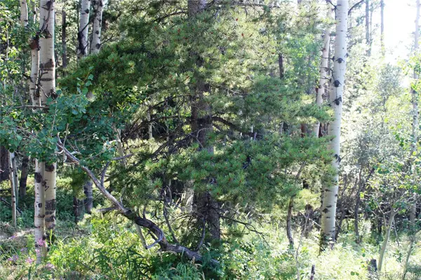 Lot 028 Sunflower LN, Black Hawk, CO 80422