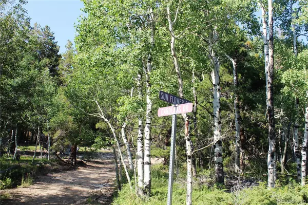 Lot 028 Sunflower LN, Black Hawk, CO 80422