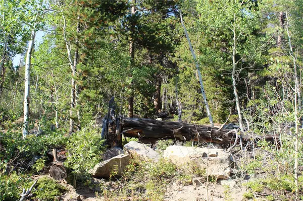 Lot 028 Sunflower LN, Black Hawk, CO 80422