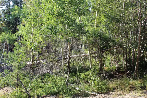 Lot 028 Sunflower LN, Black Hawk, CO 80422