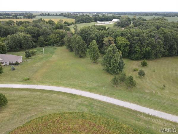 2690 Laredo Drive, Monroe City, MO 63456