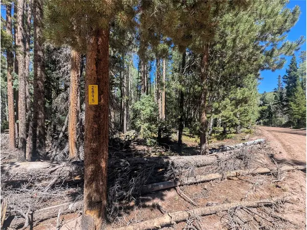 2895 Henderson, Fort Garland, CO 81133