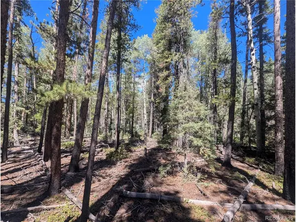 2895 Henderson, Fort Garland, CO 81133