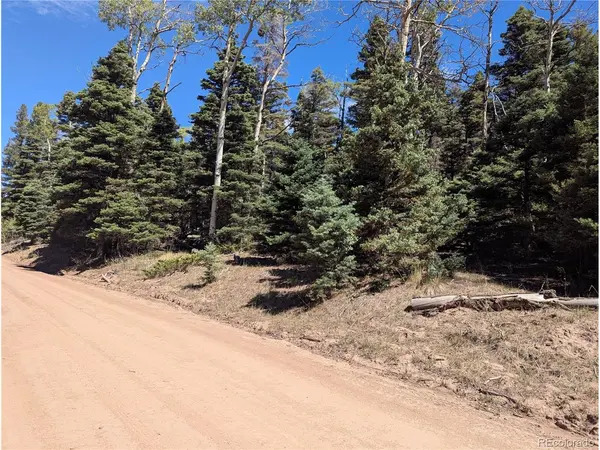 2860 Wendt, Fort Garland, CO 81133