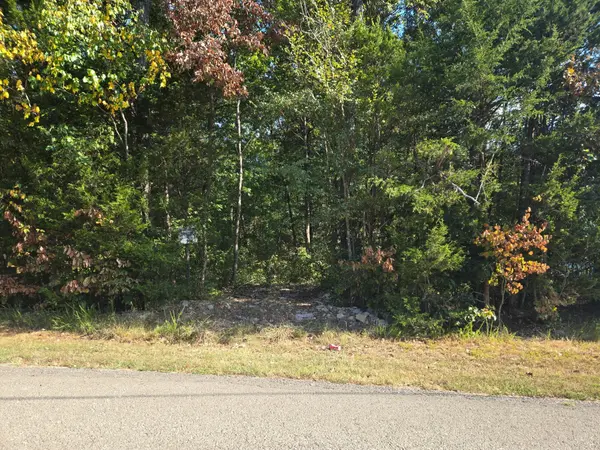 0 Creek View Rd, Columbia, TN 38401