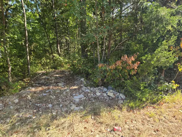 0 Creek View Rd, Columbia, TN 38401