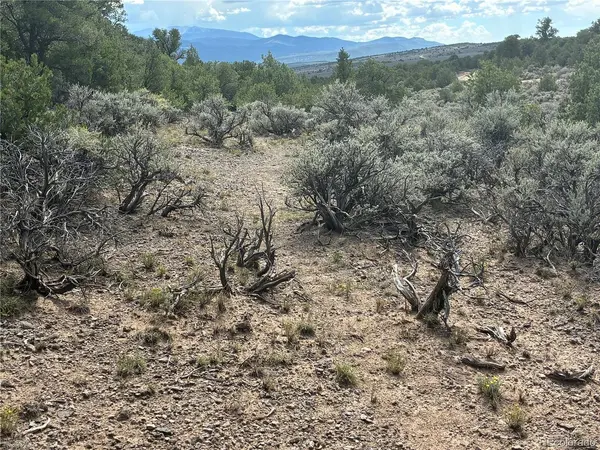 36 Bull Elk Trail, San Luis, CO 81152