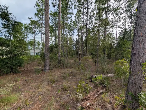 640 W HERONSBILL LN, Citrus Springs, FL 34434