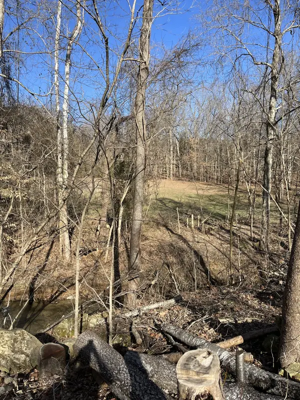 4061 Sawmill Rd, Woodlawn, TN 37191