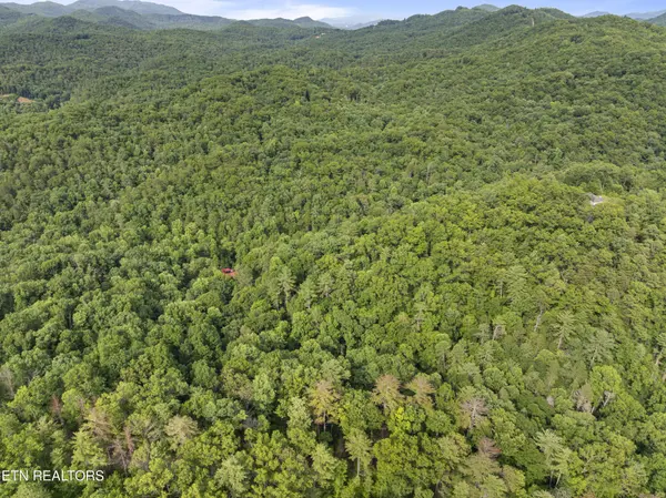 0 Walnut Flats Rd, Walland, TN 37886