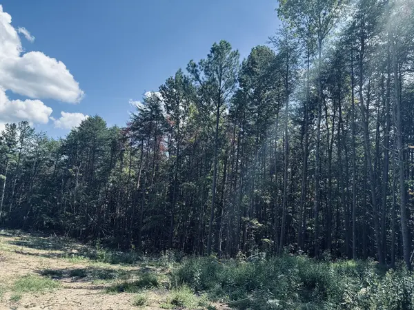 360 Bootleg Bend, Guild, TN 37340