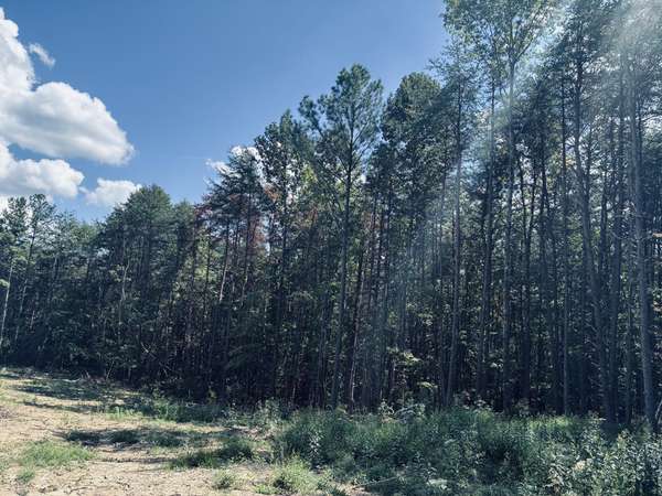 360 Bootleg Bend, Guild, TN 37340