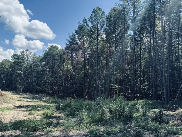 360 Bootleg Bend, Guild, TN 37340