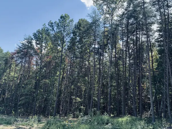 360 Bootleg Bend, Guild, TN 37340