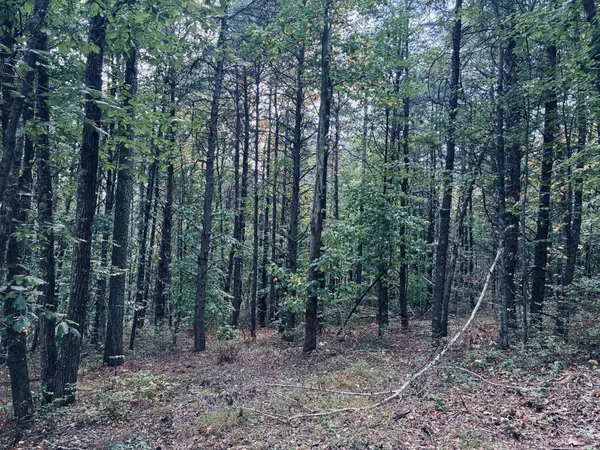 360 Bootleg Bend, Guild, TN 37340