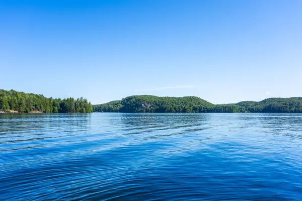 4339 Muskoka Road 117 RD, Lake Of Bays, ON P0B 1A0