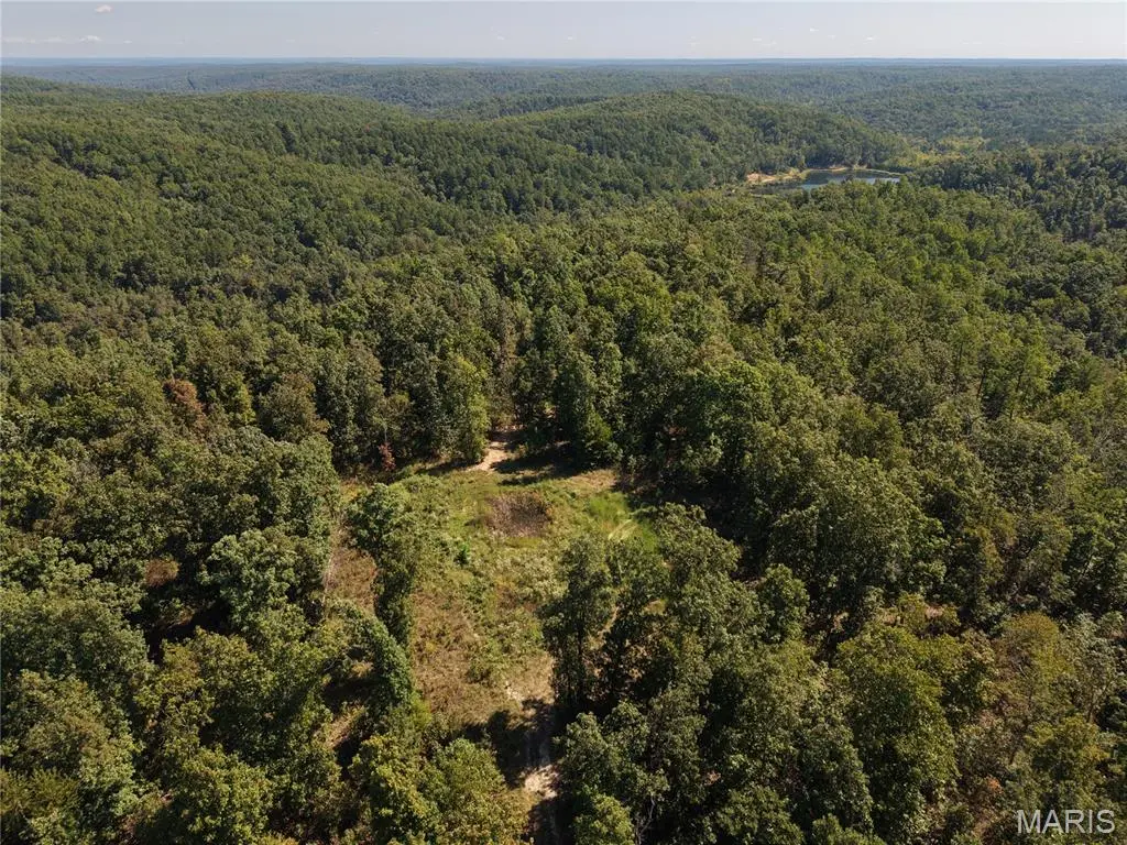 000 Coldwater Creek RD, Womack, MO 63645