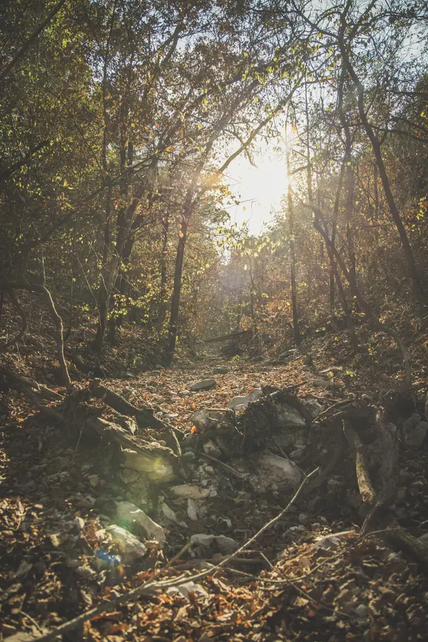 000 Boone Hollow Rd RD, Powell, MO 65730