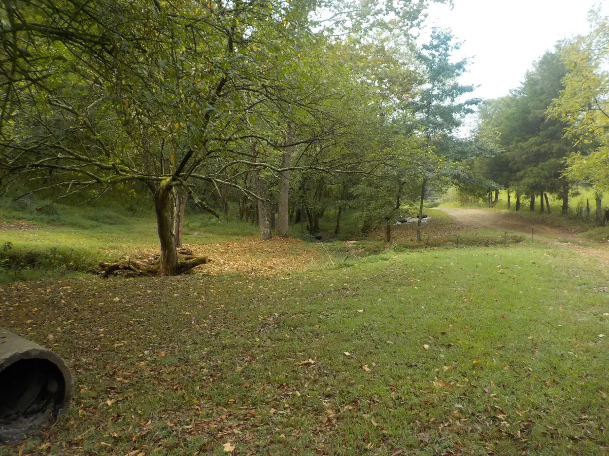 0 Rogues Fork Road, Bethpage, TN 37022