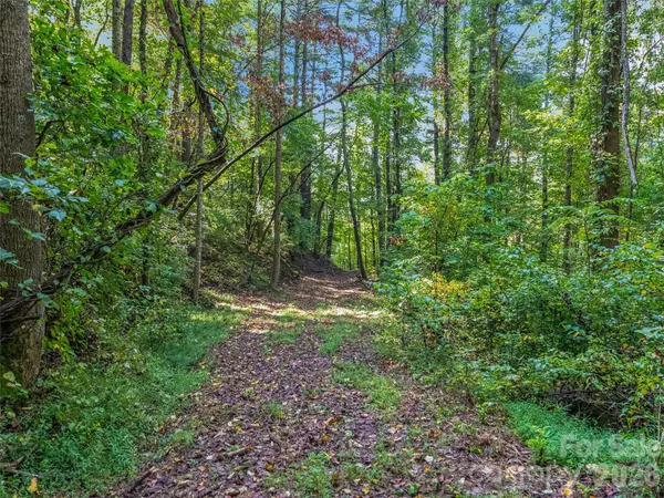 TBD Robinhood RD #2, Asheville, NC 28804