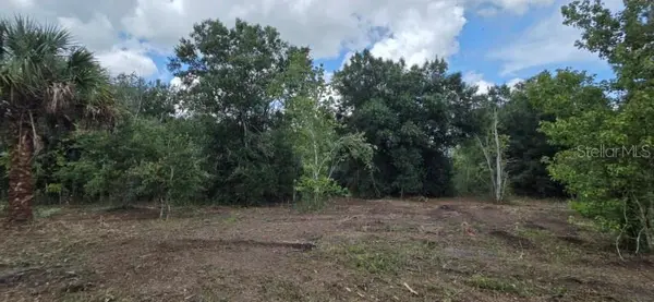 16171 NW 254TH ST, Okeechobee, FL 34972