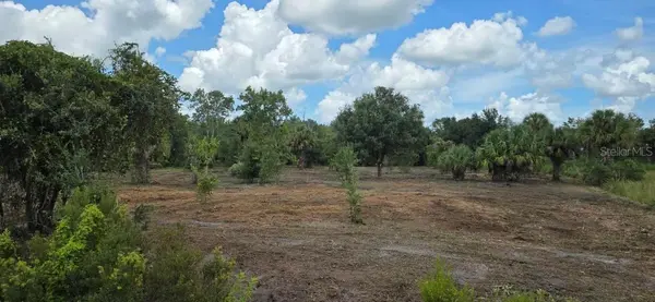 16171 NW 254TH ST, Okeechobee, FL 34972