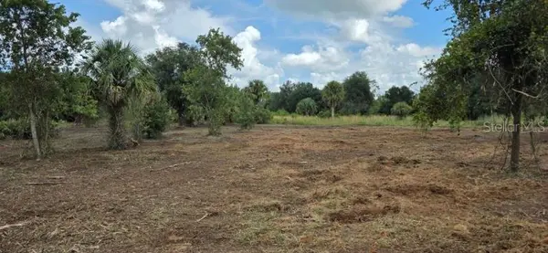 16171 NW 254TH ST, Okeechobee, FL 34972