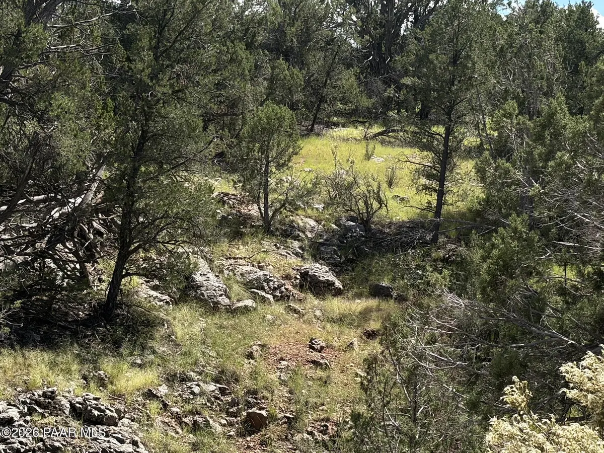 Lot 2475 Potrero Pkwy, Seligman, AZ 86337