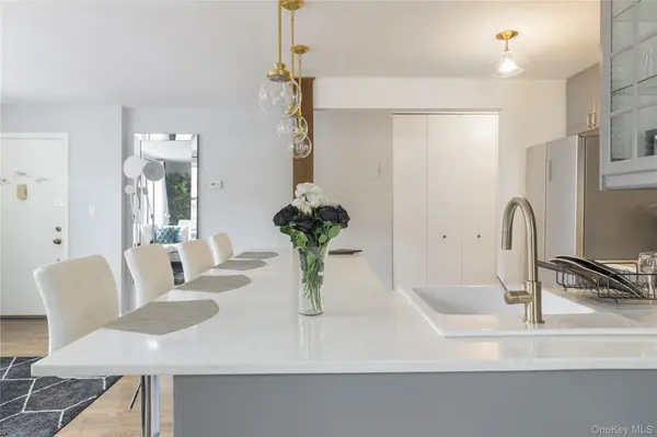 54 Erasmus ST #2D, Brooklyn, NY 11226