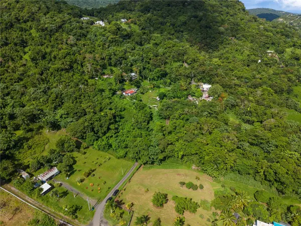 MATA DE PLATANO, Luquillo, PR 00773