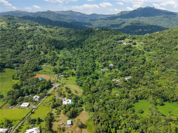 MATA DE PLATANO, Luquillo, PR 00773