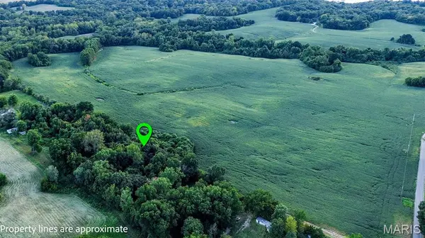 00 Beech Landing Road, Batchtown, IL 62006
