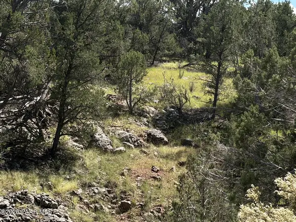 Lot 2475 Potrero Pkwy, Seligman, AZ 86337
