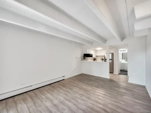 655 N Pearl ST #405, Denver, CO 80203