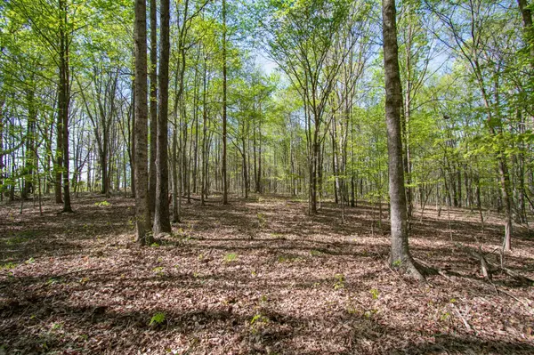 1555 Dog Hollow Road, Lynnville, TN 38472