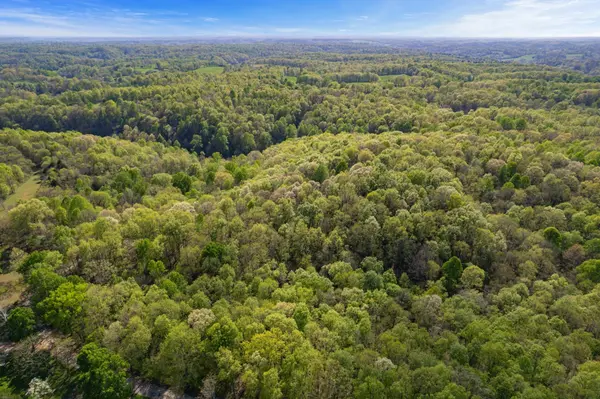 1555 Dog Hollow Road, Lynnville, TN 38472