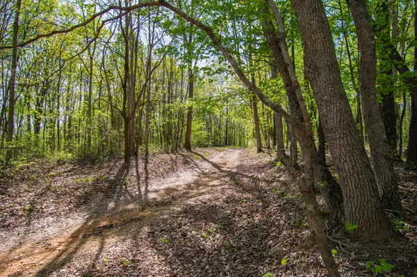 1555 Dog Hollow Road, Lynnville, TN 38472